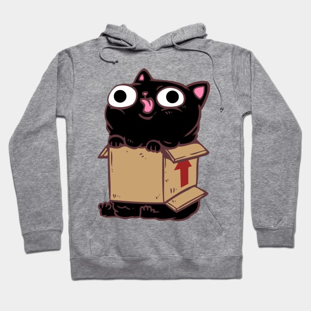 Cat In A Box Hoodie by Talonardietalon